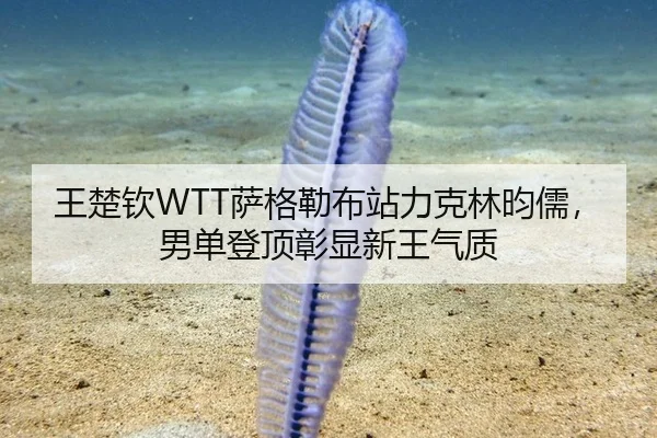 wang-chu-qin-sa-ge-lei-bu-zhan-li-ke-lin-yun-ru-nan-dan-deng-ding-zhang-xian-xin-wang-qi-zhi-3-503.jpg