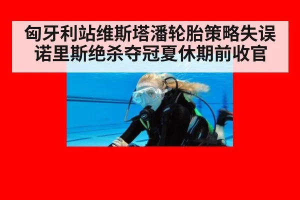 匈牙利站维斯塔潘轮胎策略失误诺里斯绝杀夺冠夏休期前收官
