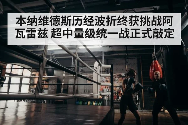 boxer training